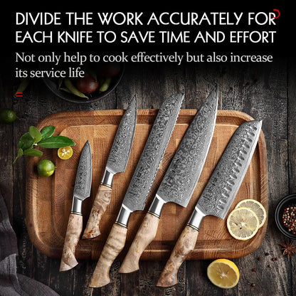 1-5PC Damscus Steel Knife Set