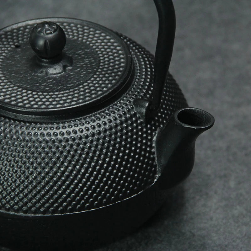 Iron Tea Pot with Stainless Steel Infuser Cast Iron Teapot Tea Kettle for Boiling Water Oolong Tea 600/800/1200ML